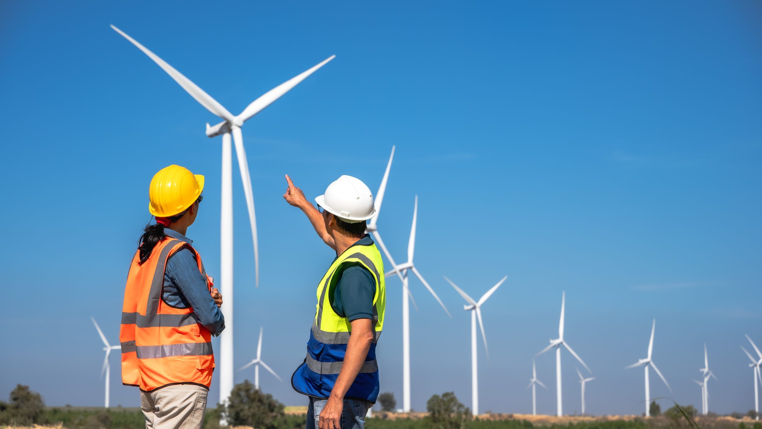 Renewable Energy Services